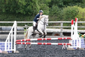 Class 5 - Fences not above 2'6